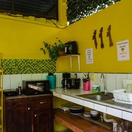 The Jungle Container Bed & Breakfast Quepos Bagian luar foto